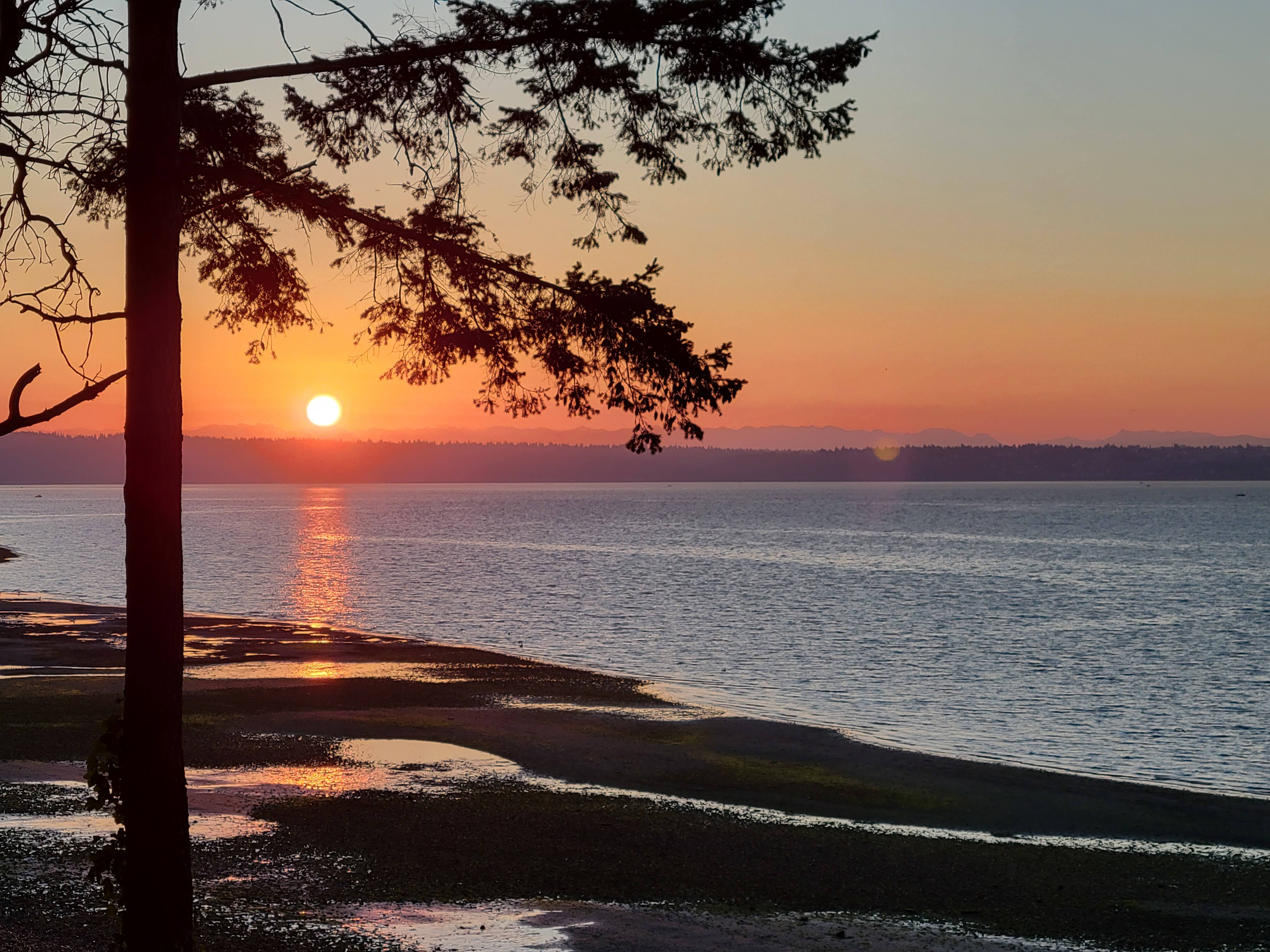 Marking a New Beginning: Wilderness Pathfinder Connections Takes Root