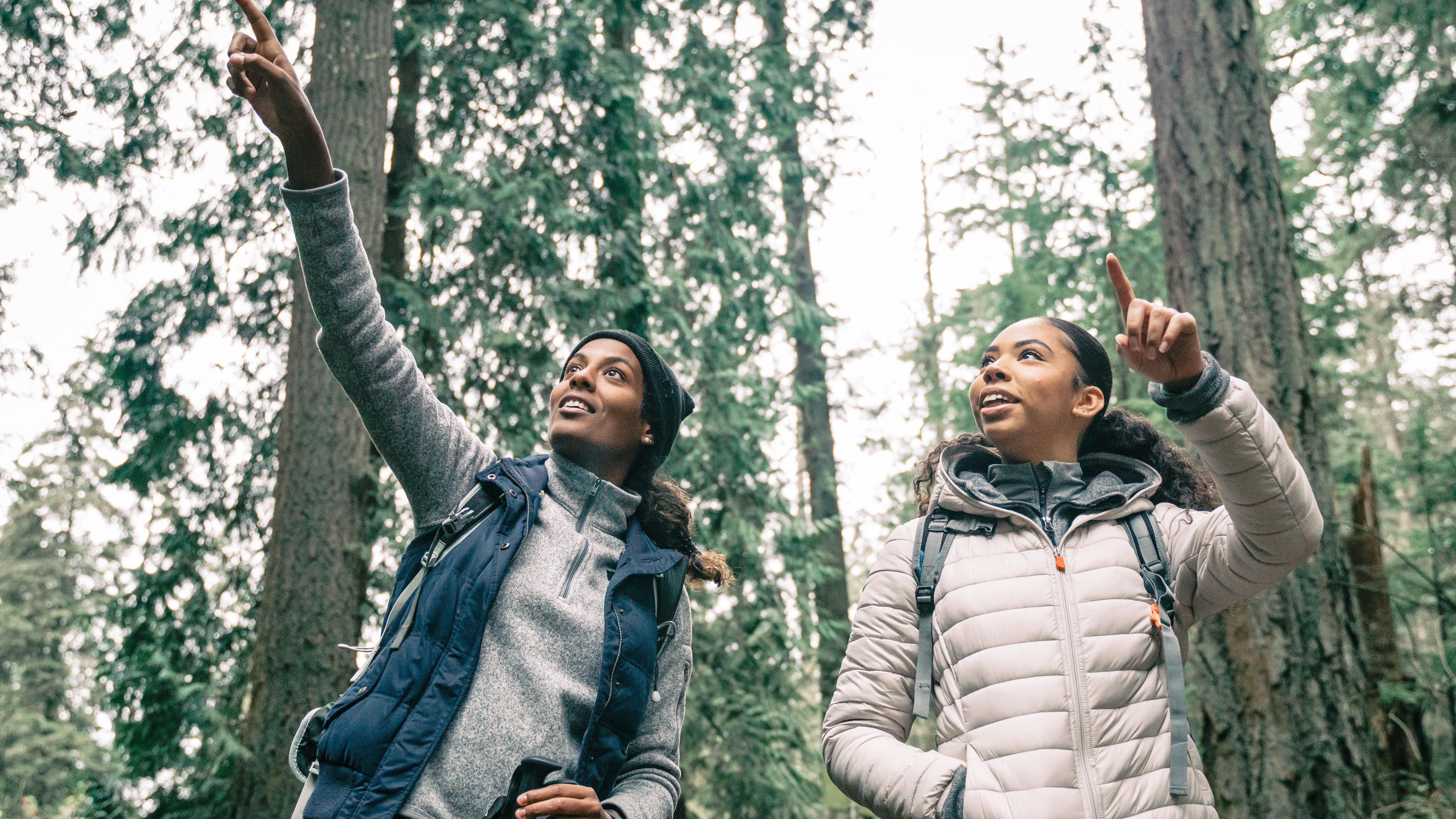 Women hiking in a forest and pointing into the distance.